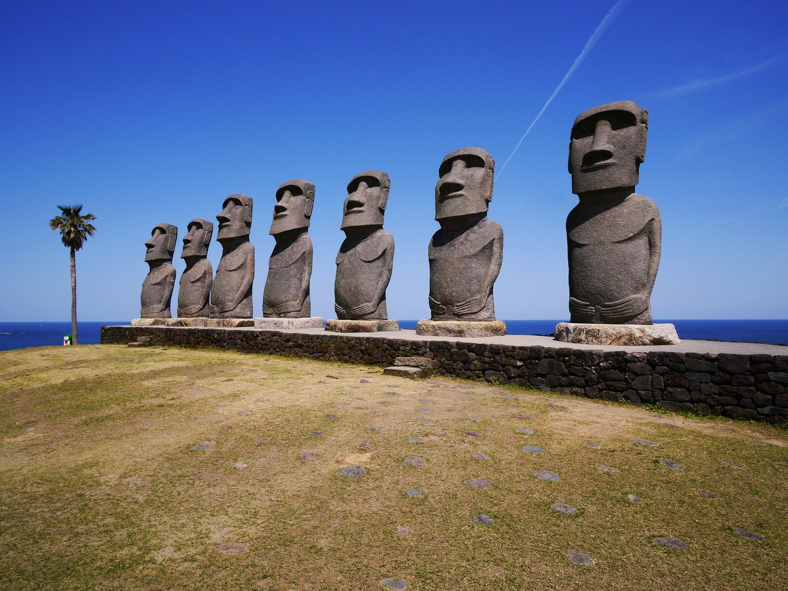 🌴 산멧세 니치난